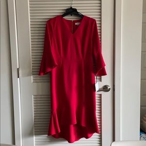 NWT V-Neck Bell Sleeve High Low Red Dress